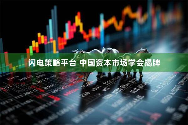 闪电策略平台 中国资本市场学会揭牌