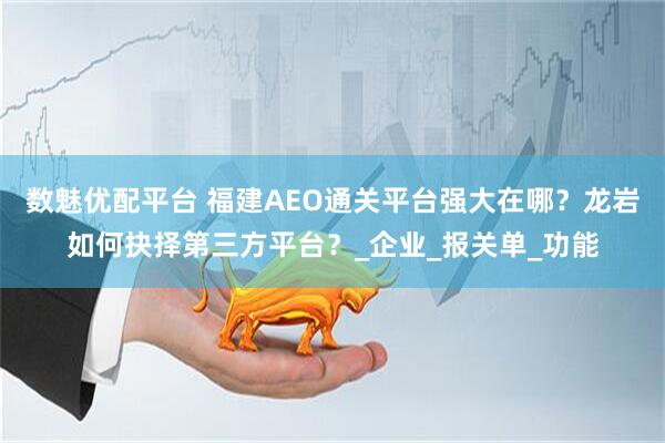 数魅优配平台 福建AEO通关平台强大在哪？龙岩如何抉择第三方平台？_企业_报关单_功能