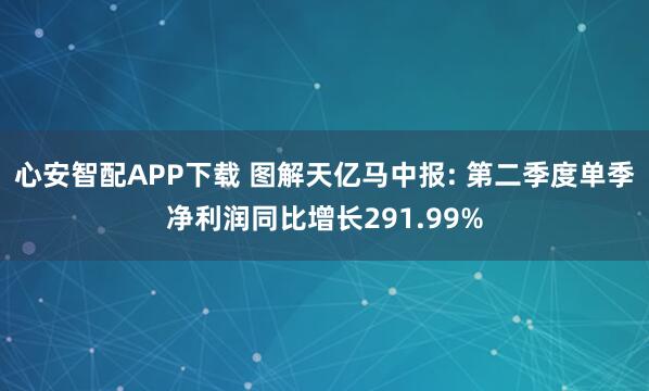心安智配APP下载 图解天亿马中报: 第二季度单季净利润同比增长291.99%