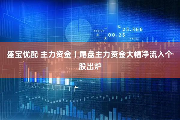 盛宝优配 主力资金丨尾盘主力资金大幅净流入个股出炉